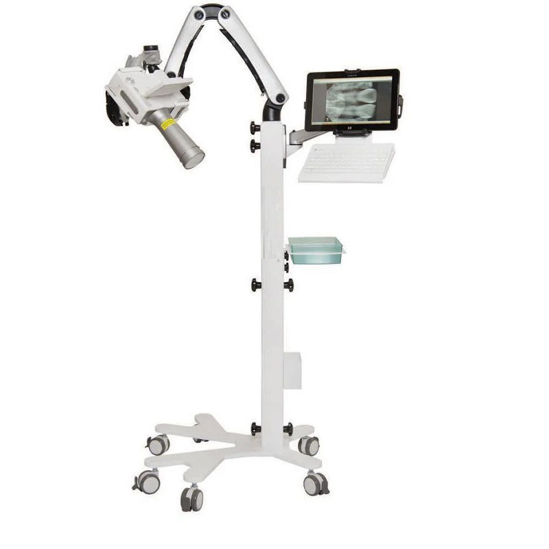 PST-IRID-DX-P545__26539.1735961348